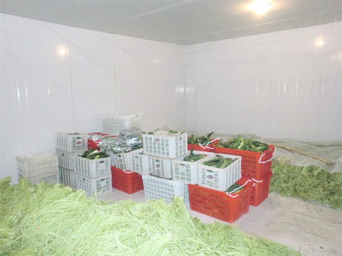 小型冷庫的發展前景