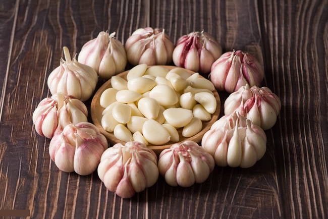 大蒜冷庫多少錢一平方？大蒜保鮮冷庫建造溫度及造價