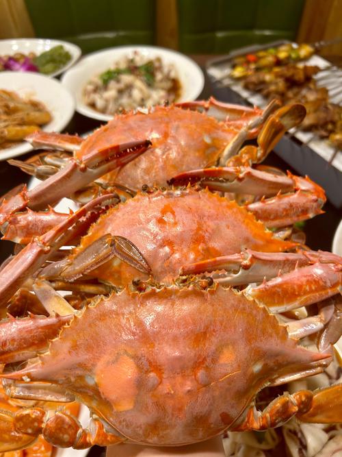 大連海鮮盛宴 饕餮之旅，只此一嘗