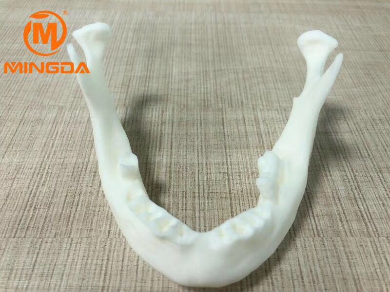 工業級3D打印機在牙科行業的應用(圖2)